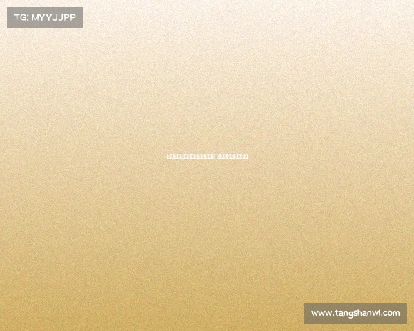 海牛与河南上演英超中甲大混战 半场精彩与失误并存